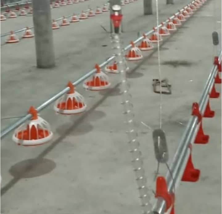 خرید و فروش تجهیزات کامل مرغداری تخمگذار گوشتی خدابنده در زنجان